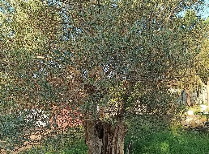 Veiga De Cohido